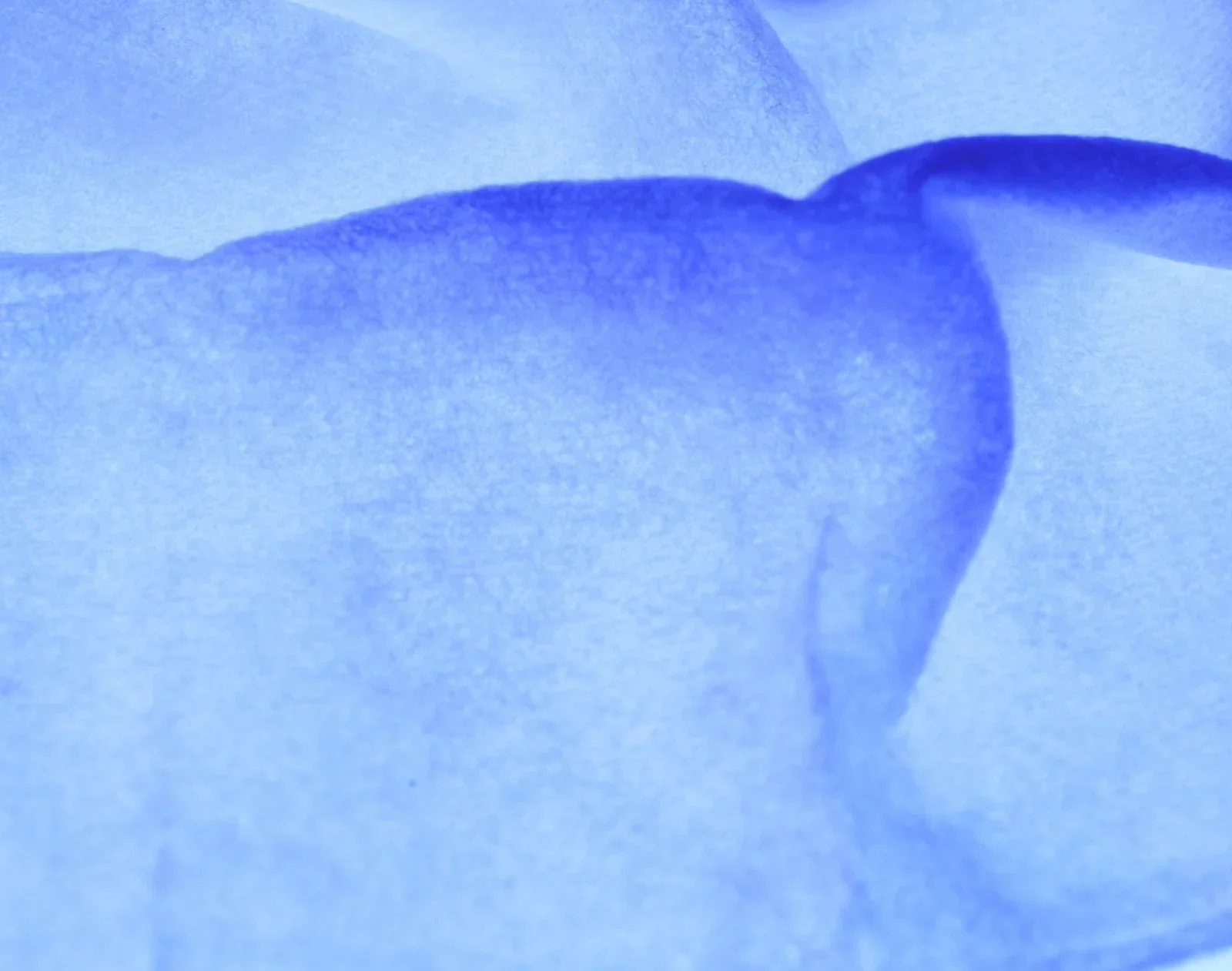 Active Peel System - Image 2