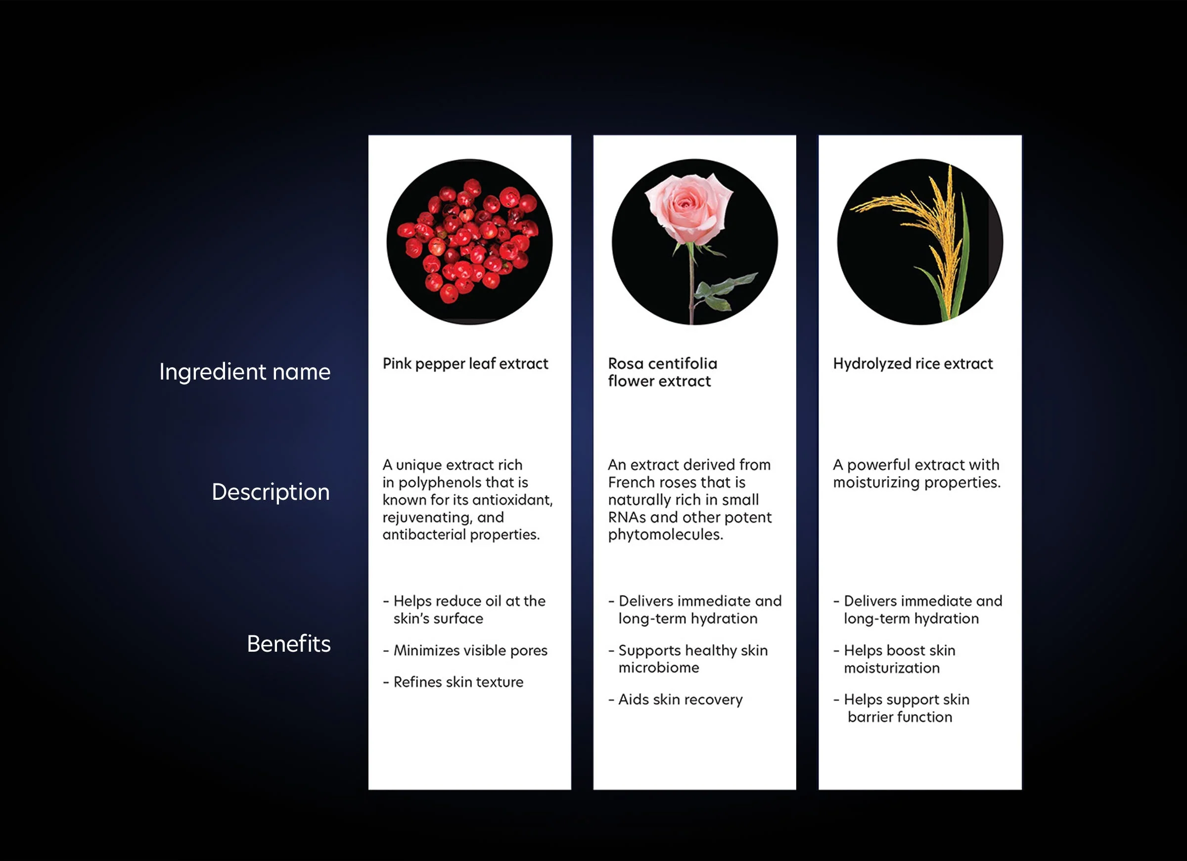 HydraMatte - Image 3