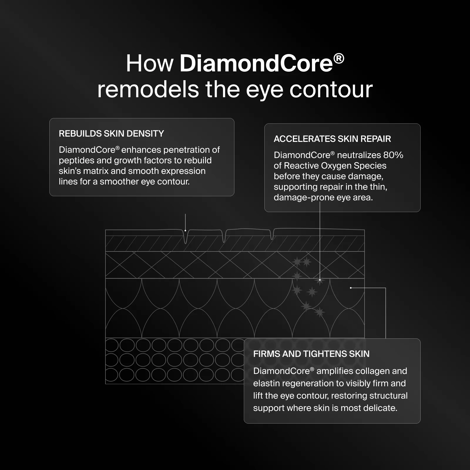 PRECISION EYE LIFT - Image 4